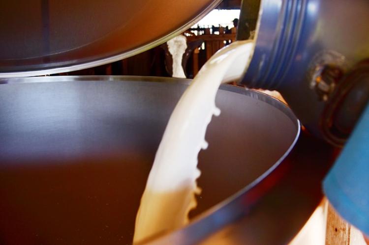 “Alergia ao Leite de Vaca: Impacto na Vida das Crianças” – Capivara News