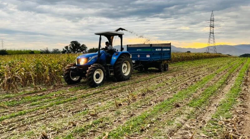 Secretaria de Desenvolvimento de Imbituba auxilia agricultores na produção de silagem