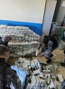 Apreensão recorde de Maconha Skank em Fazenda de Rondônia