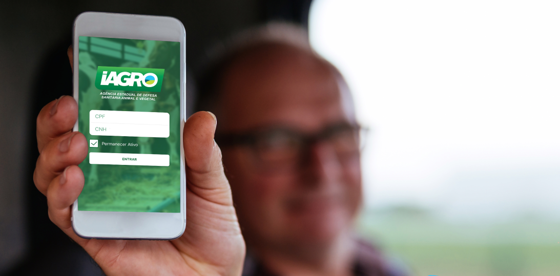 Aprenda a fazer pamonha com app no campo