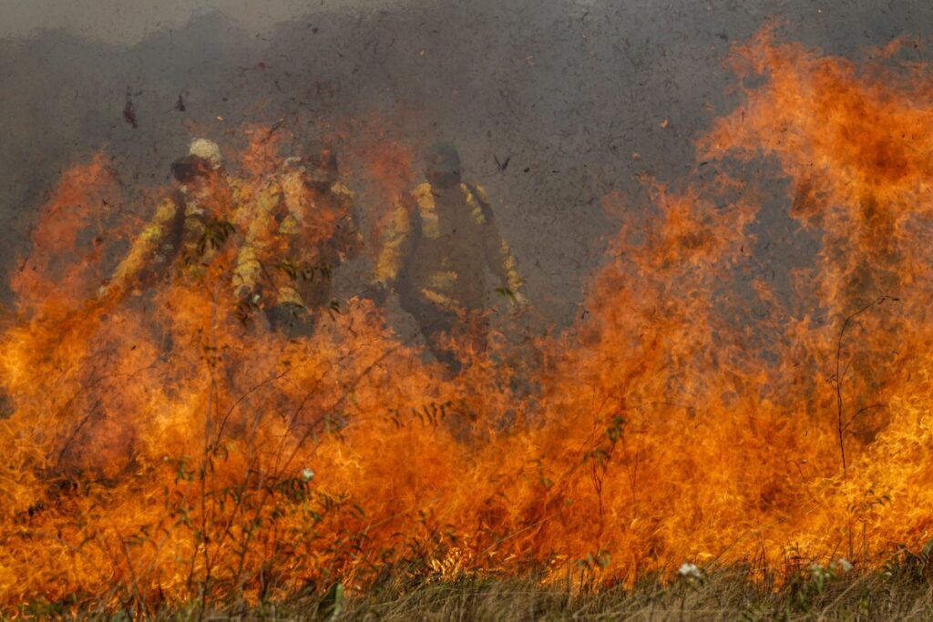 Causas dos incêndios no Pantanal: cientista da Embrapa revela a verdade | Meio ambiente 8 Entrevista: 'Os incêndios são todos por ação humana', afirma cientista da Embrapa-Pantanal | Meio ambiente