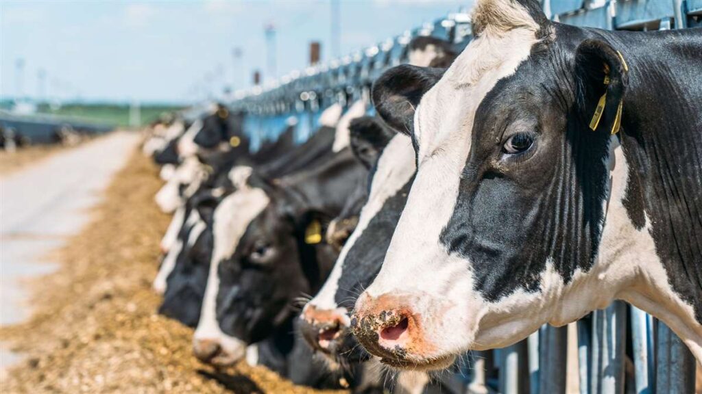 ADSA Annual Meeting: avanços e tendências na pecuária leiteira