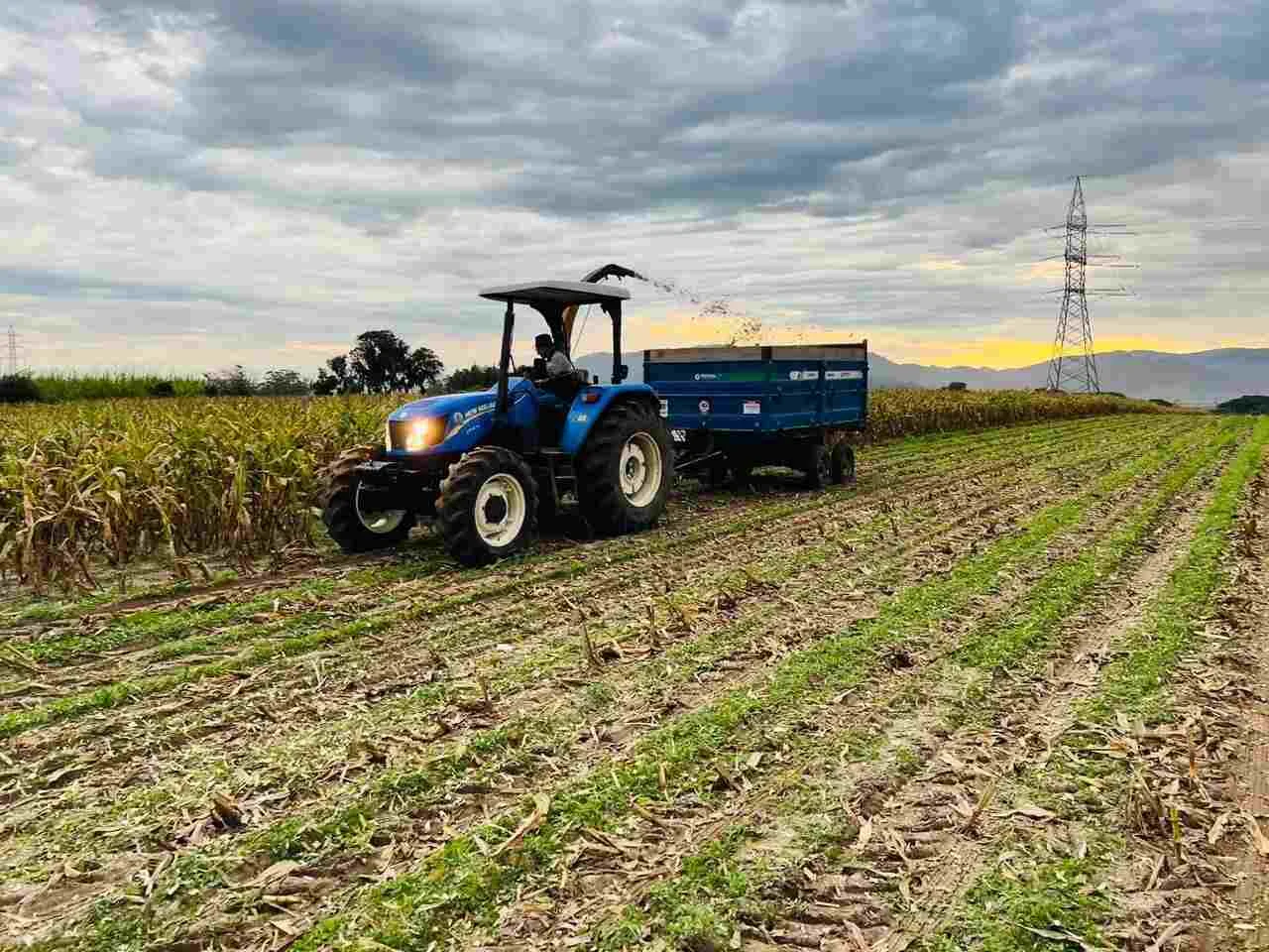 Descubra como a Secretaria de Agricultura de Imbituba pode te ajudar a produzir silagem de milho de qualidade 8 Secretaria de Agricultura de Imbituba auxilia na produção de silagem de milho