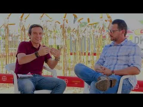 Descubra o Segredo da Rotação de Culturas 3 ROTAÇÃO DE CULTURA É O SEGREDO PARA A MELHORIA DO MANEJO