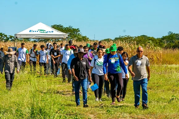 Descubra o sucesso do II Dia de Campo na Fazenda Sol Posto! 4 Mais de 100 pessoas participam do II Dia de Campo na Fazenda Sol Posto