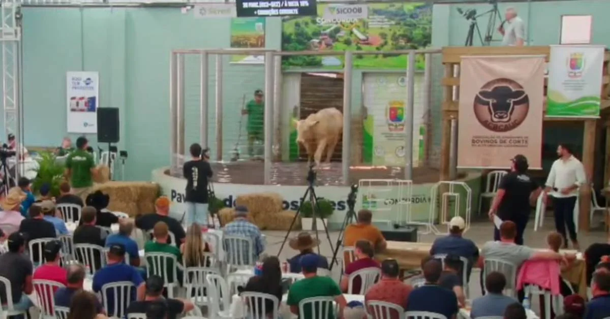 "Leilão Elo de Raças" movimenta R$ 1,3 milhão