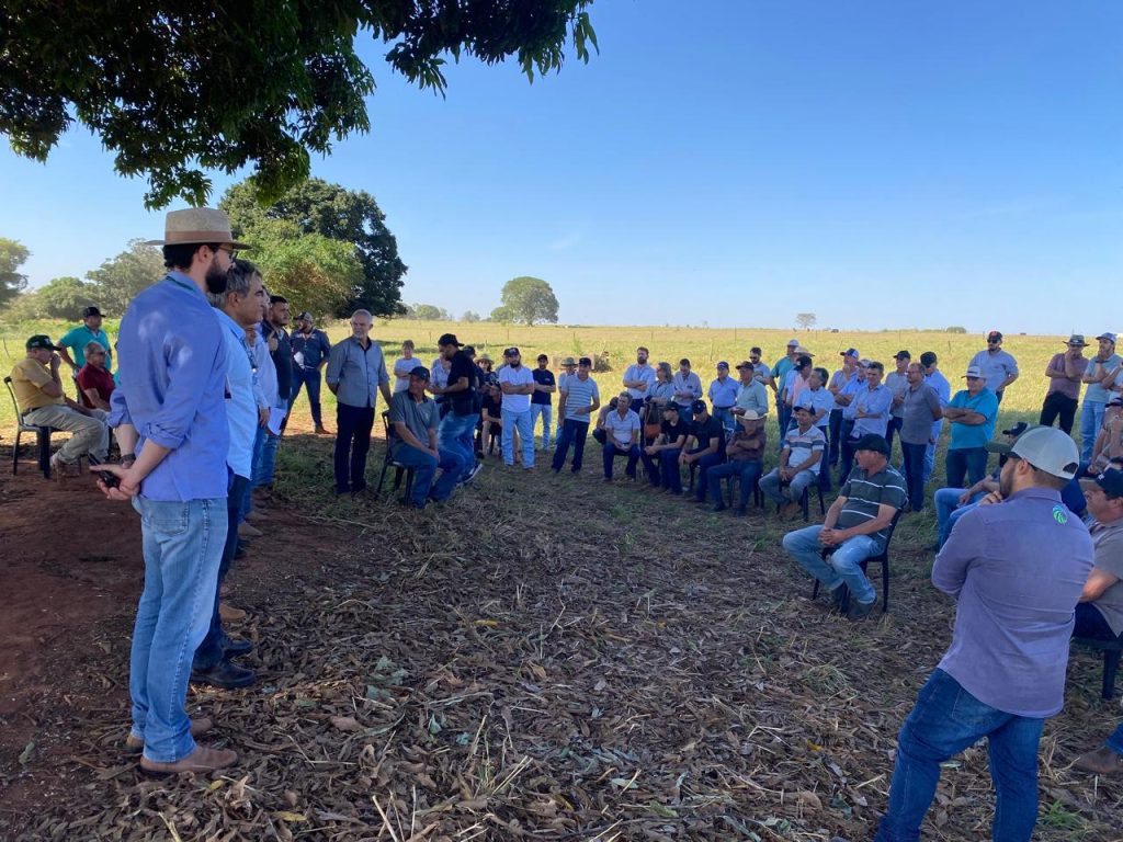 Produtores de Goioerê participam de dia de campo sobre Integração Lavoura Pecuária em Moreira Sales