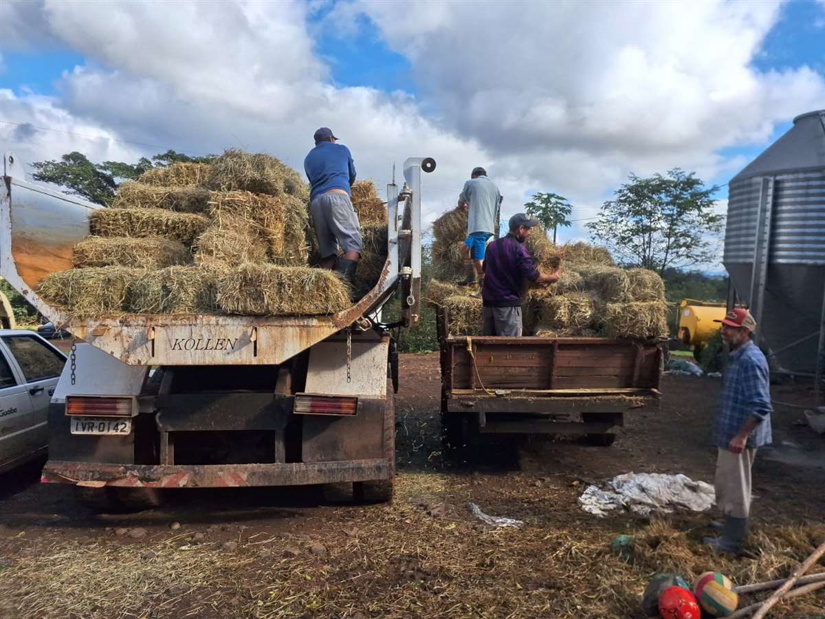 doacoes chegando aos produtores do rs f09f9084f09fa59bf09fa49d