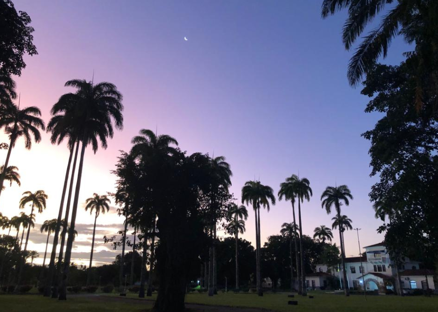 Embrapa: 49 Anos de Inovação em Cruz das Almas!