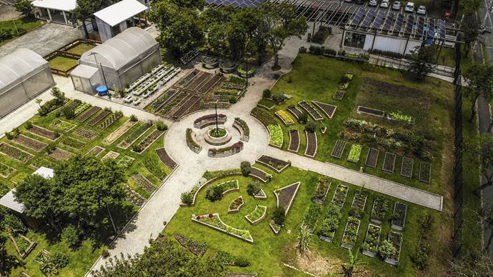 Fazenda Urbana de Curitiba celebra quatro anos como pioneira em sustentabilidade urbana