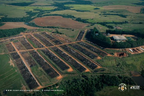 Integração Lavoura-Pecuária: caminho para a pecuária sustentável