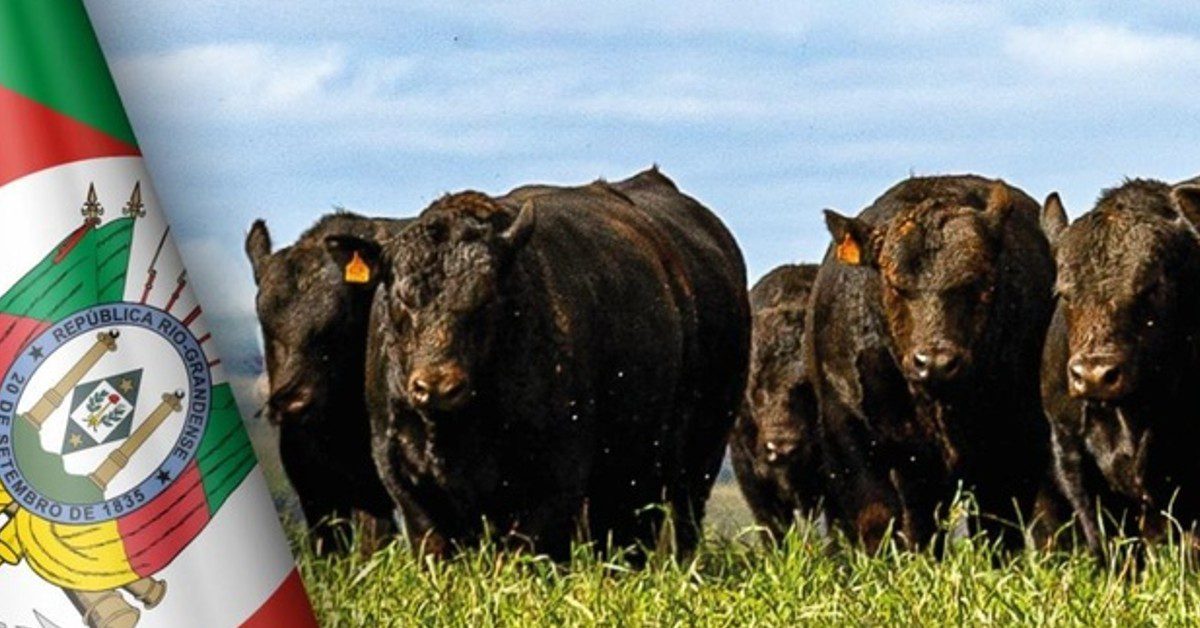 “Leilão Angus: arrecadação recorde para o RS!” • Portal DBO