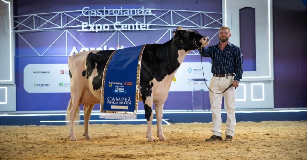 Participe: Inscrições Abertas Agroleite Holandesa e Jersey 4 Agroleite abre inscrições para as raças Holandesa e Jersey