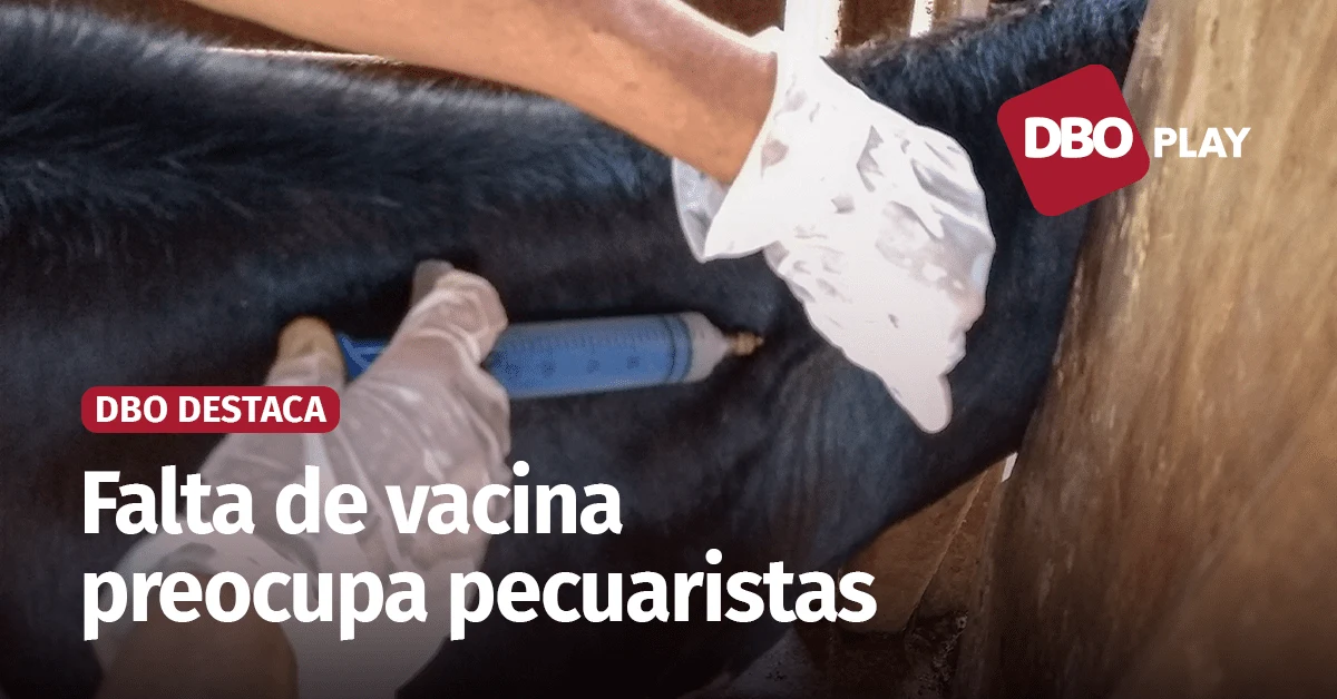 Por que a vacina contra a brucelose sumiu? • Portal DBO 9 O que está por trás da falta de vacina contra a brucelose no mercado? • Portal DBO