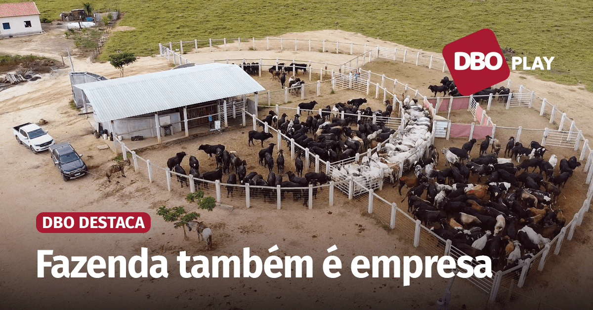 Profissionalização impulsionada pela tecnologia