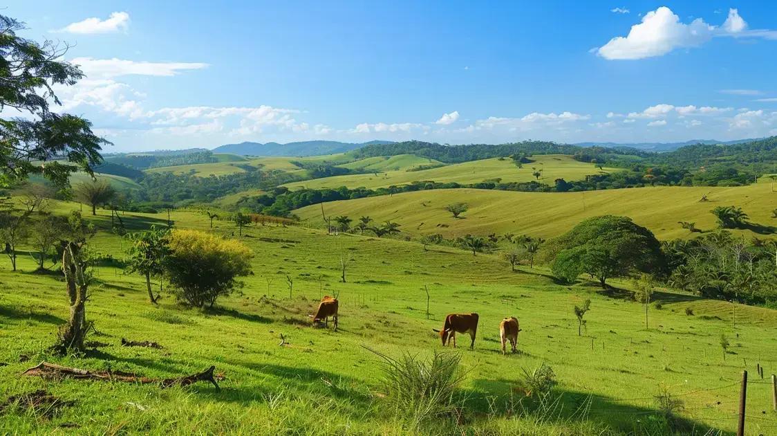 Resultados Concretos: O Impacto da Adaptação na Produtividade