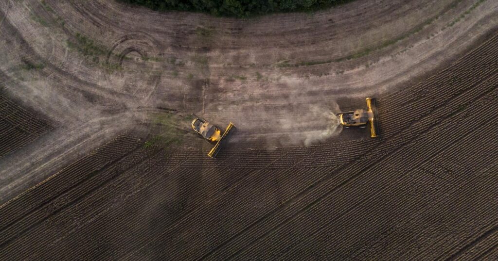 Mesmo sem recorde, safra de soja fica entre as maiores e deve ajudar na retomada da economia