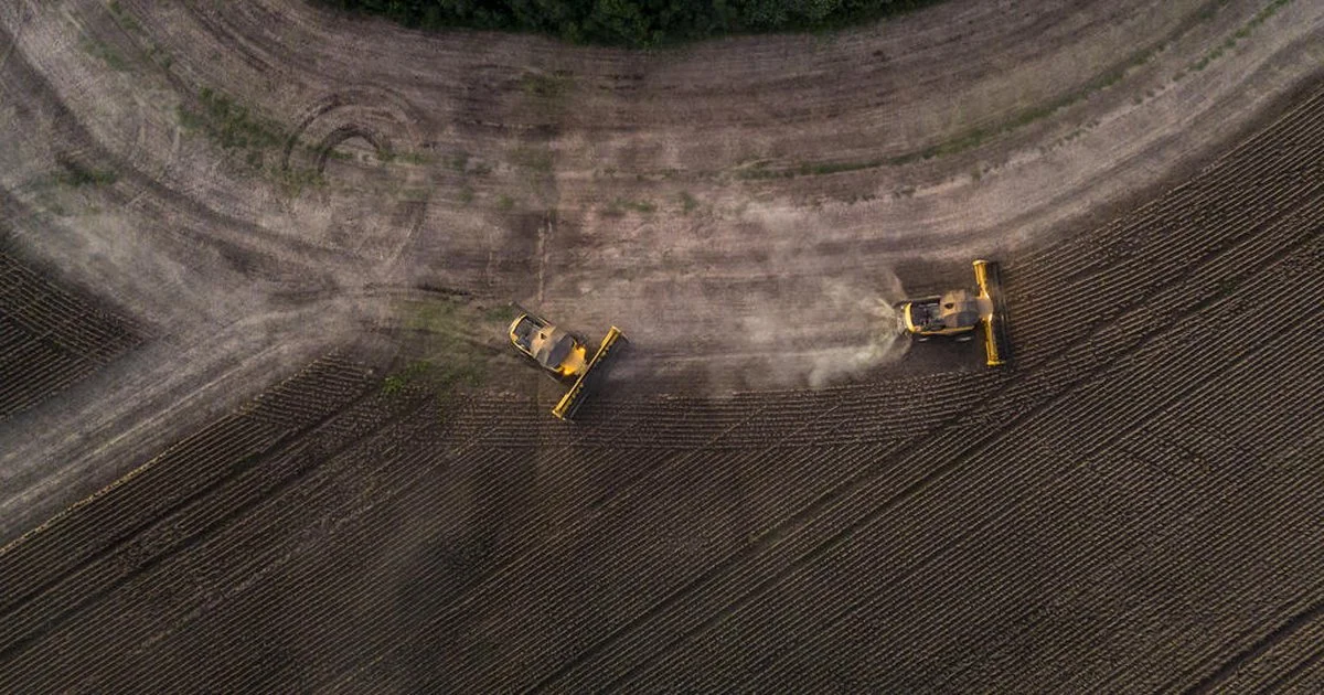 Safra de soja surpreende e impulsiona economia 21 Mesmo sem recorde, safra de soja fica entre as maiores e deve ajudar na retomada da economia