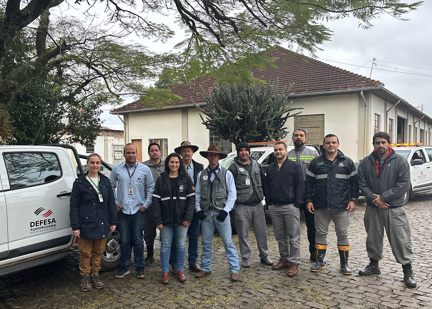 RS recebe apoio de servidores da Secretaria da Agricultura de São Paulo -