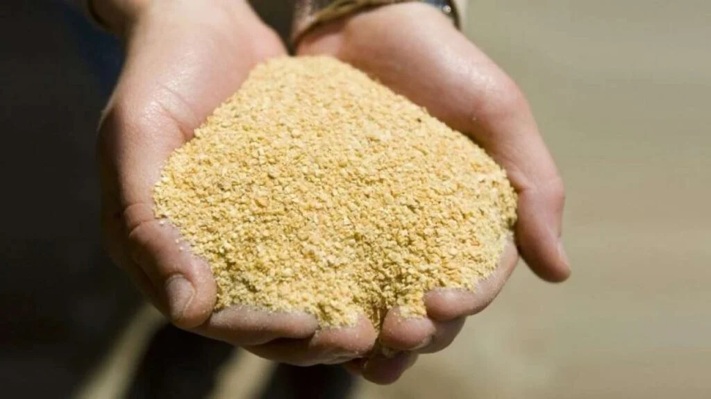 Surpreenda-se com a alta do farelo de soja em MT 2 Preço do farelo de soja avança em Mato Grosso | Soja