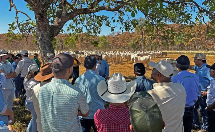 Jornal Agência Tocantins