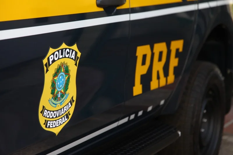 Tragédia na estrada: Motociclista fatalmente atingido por animal. 5 ENTRE PARA O GRUPO DO WHATSAPP