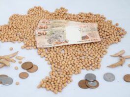 Alta do dólar não ajudou preço da soja em junho; veja resumo do mês