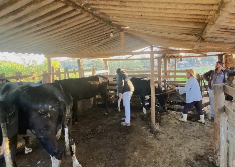 Fortuna de Minas: Compromisso com Produtores Rurais 3 1720669374 856 Fortuna de Minas Compromisso com Produtores Rurais