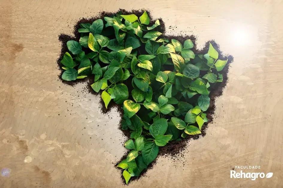 5 motivos incriveis que provao a importancia do agronegocio para o brasil