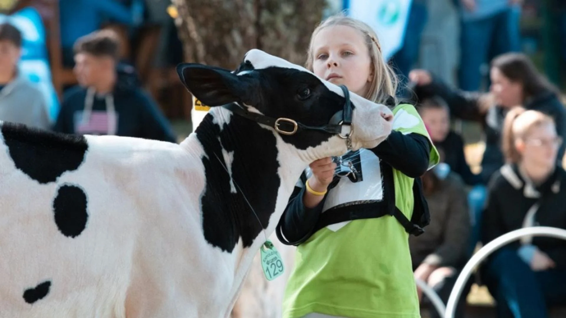 Confira a programação da 50ª Expoleite que acontece de 11 a 13 de julho em Arapoti