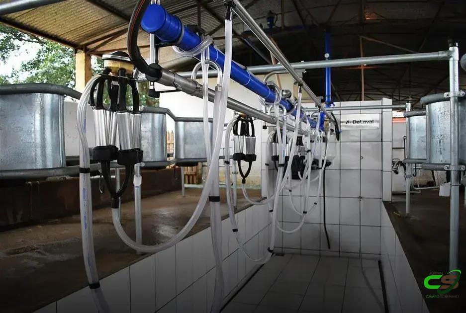 6 Tipos de Ordenha Que Todo Produtor Deve Conhecer