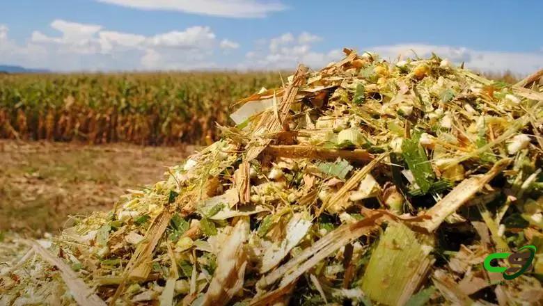 6 Vantagens do Snaplage que Você Precisa Conhecer