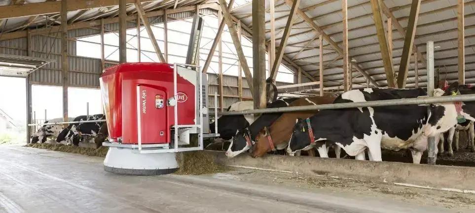 7 erros que estao derrubando sua fabrica de racao para bovinos leiteiros