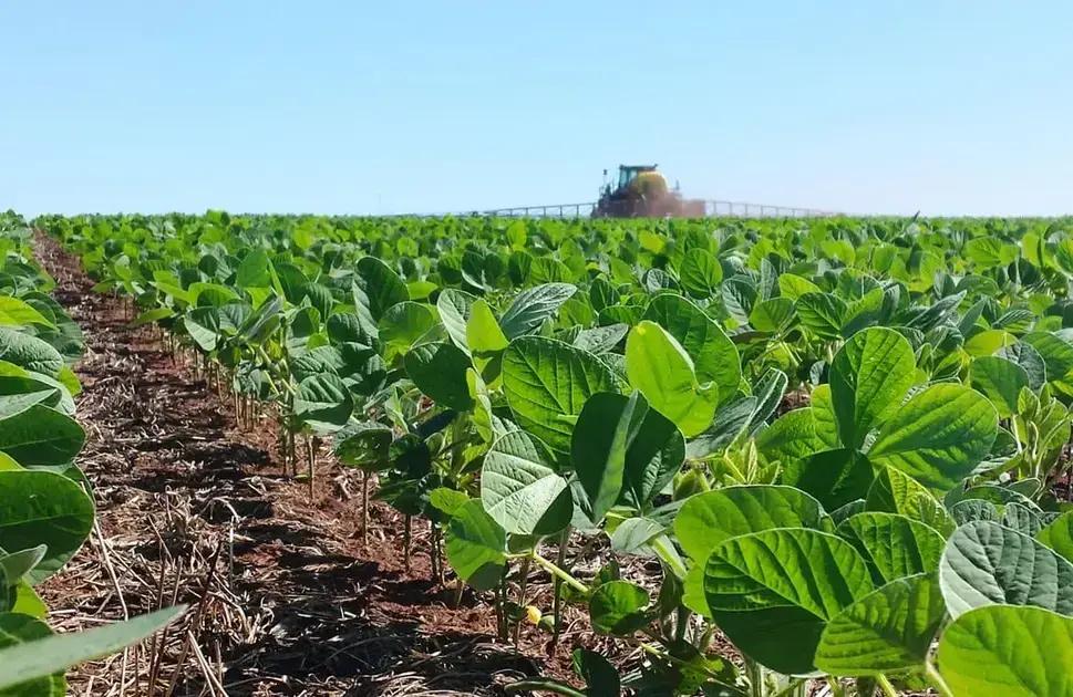 7 Erros Que Estão Sabotando Seu Uso de Adjuvantes Agrícolas: Descubra Como Maximizar Resultados! 1 7 Erros Que Estão Sabotando Seu Uso de Adjuvantes Agrícolas: Descubra Como Maximizar Resultados!
