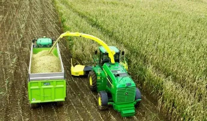 7 Erros Que Estão Sabotando Sua Silagem de Milho: Descubra Como Evitá-los! 2 7 erros que estao sabotando sua silagem de milho descubra como evita los