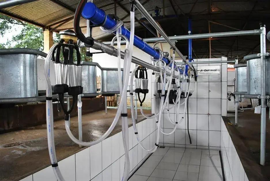 7 tipos de ordenha que voce precisa conhecer para impulsionar sua produtividade