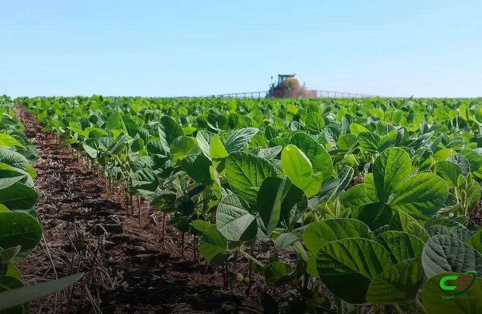 8 Fatos Surpreendentes sobre Adjuvantes Agrícolas que Você Precisa Saber