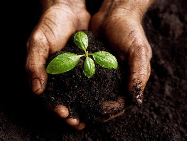 CNA participa de reunião da Comissão Brasileira de Agricultura de Precisão e Digital