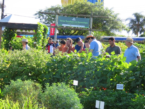 Vitrine de Agroecologia será novidade no Show Rural de Inverno