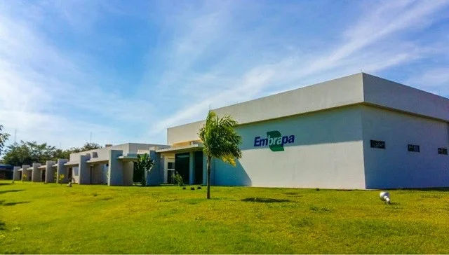 Embrapa surpreende ao nomear 559 a mais.webp