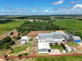 Pará, Tocantins e Maranhão serão atendidos por nova fábrica de produção de suplemento animal — CompreRural