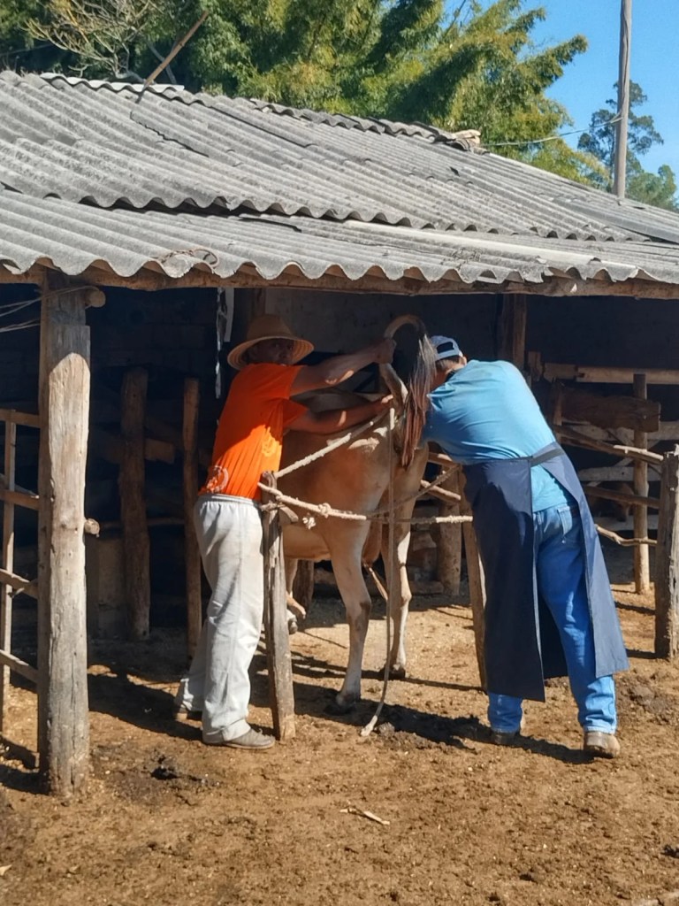 Fortuna de Minas: Compromisso com Produtores Rurais 2 Fortuna de Minas Compromisso com Produtores Rurais