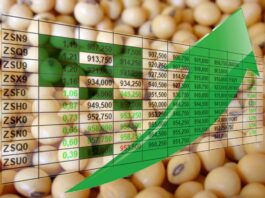 Preços da soja supreendem neste começo de julho; veja cotações