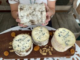 3 queijos azuis que valem a pena experimentar segundo especialistas