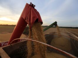 Vendas de soja do Brasil do novo ciclo superam mesmo período do ano anterior