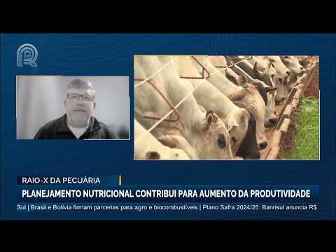 Raio-X da Pecuária | Planejamento nutricional contribui para aumento da produtividade