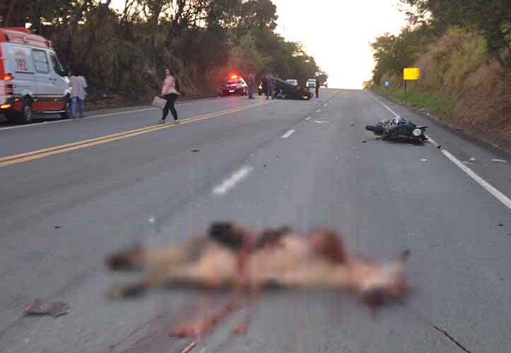 Acidente em série: Cavalo na pista causa colisão com três carros