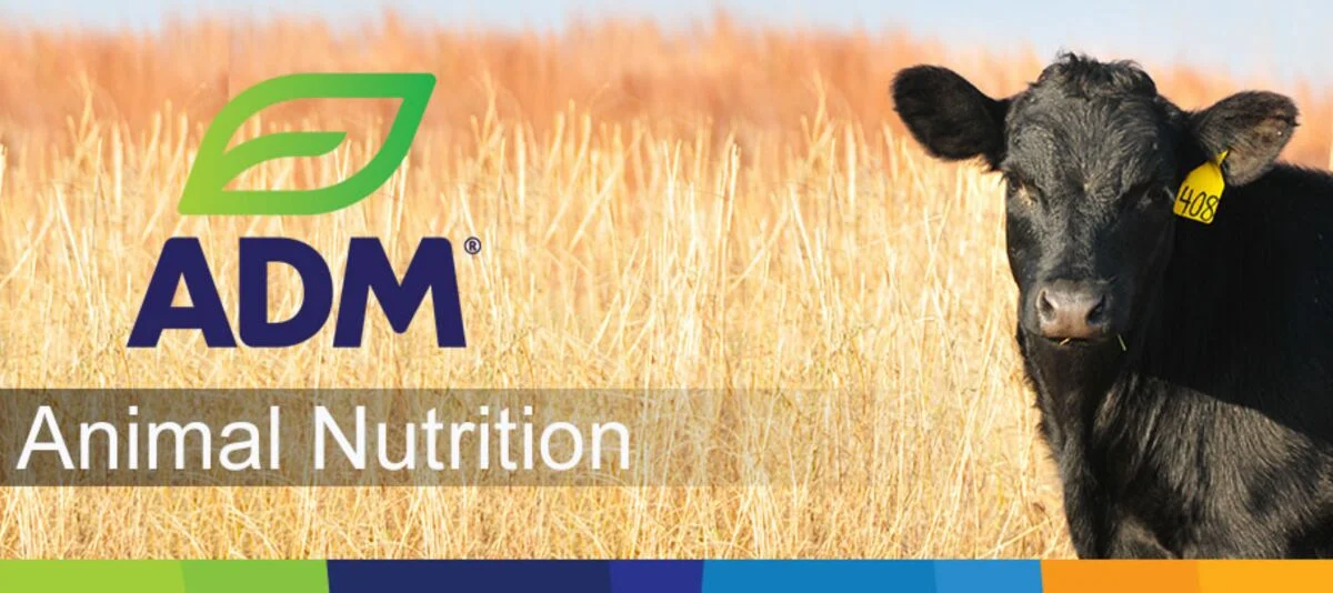 ADM Construirá Nova Fábrica no Paraná 7 ADM anuncia construção de nova fábrica no Paraná