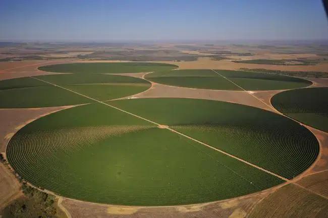 agricultura no deserto 7 segredos para plantar e colher em areas aridas