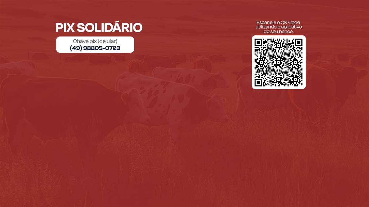 ajude a producao de leite no rs 1